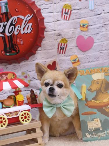 20230927ゆずちゃん